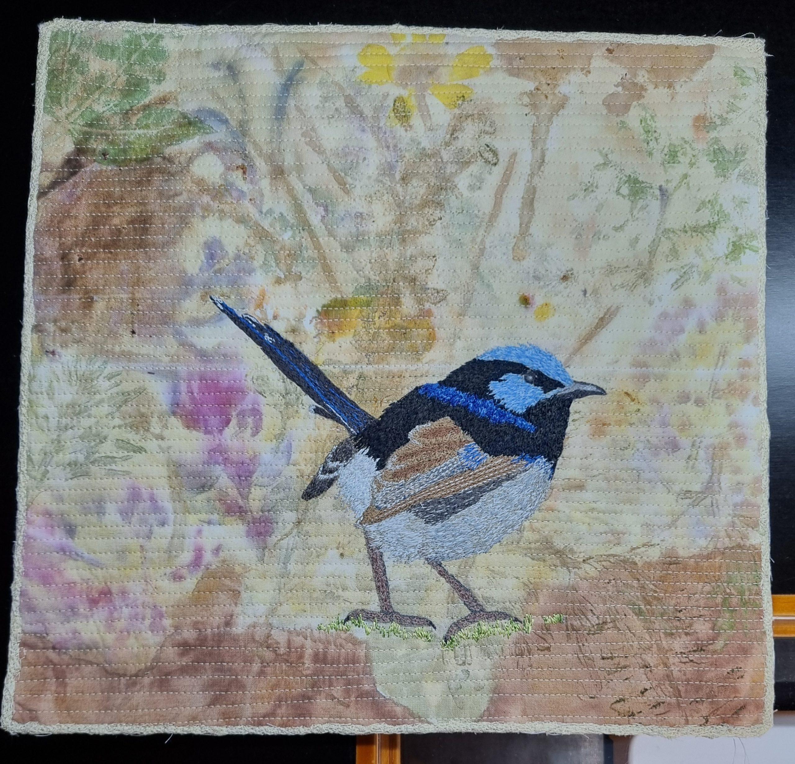 male blue wren