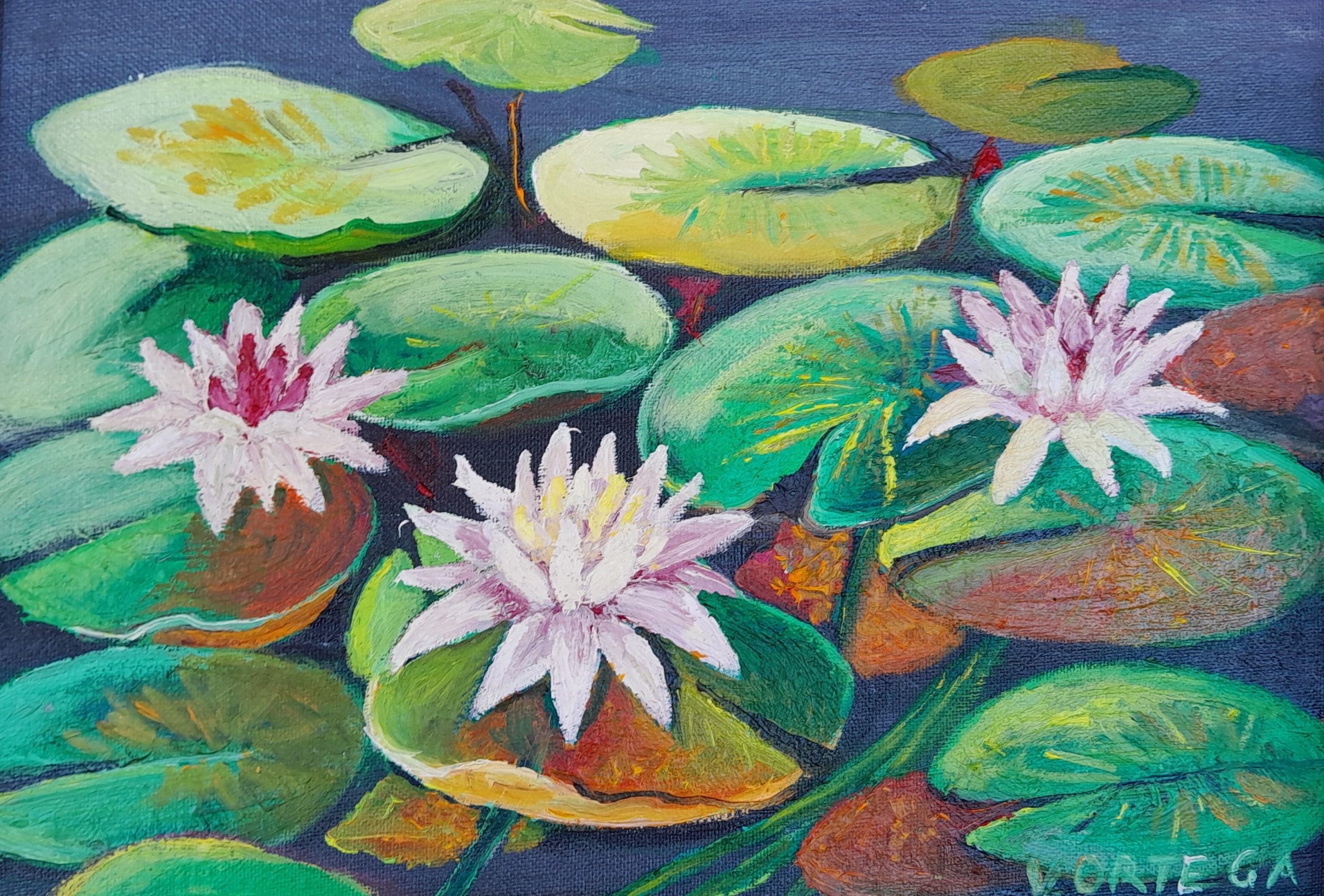 Waterlillies copy